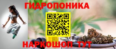 ГАЛЛЮЦИНОГЕННЫЕ ГРИБЫ Славгород