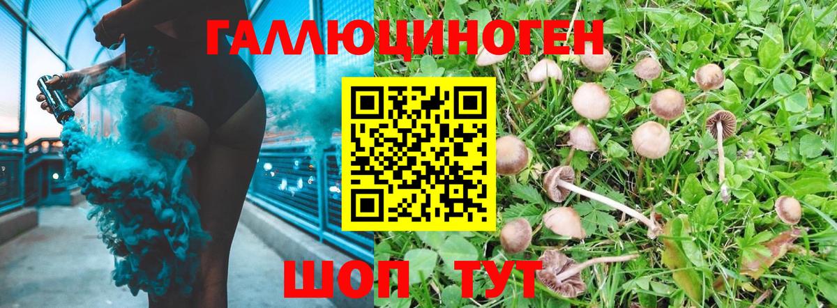 Галлюциногенные грибы MAGIC MUSHROOMS  Вход с VPN  Сибай 